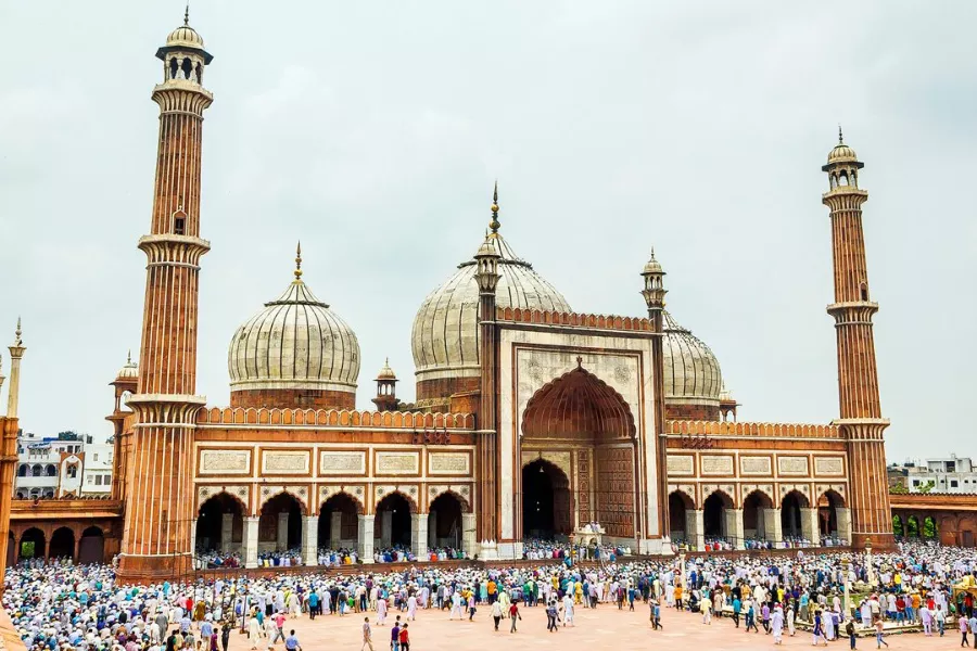 Golden Triangle Tour from Kochi 